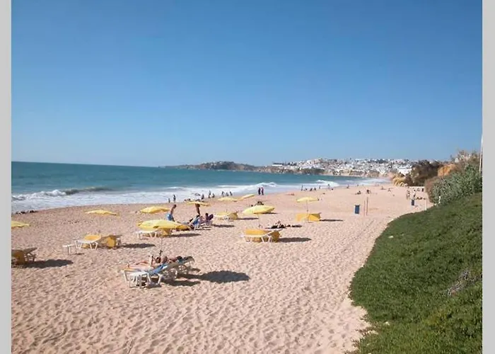 Marisol By Sunny Deluxe